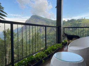 Star Gaze Lodge